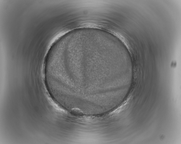 X0000094820987200711301626