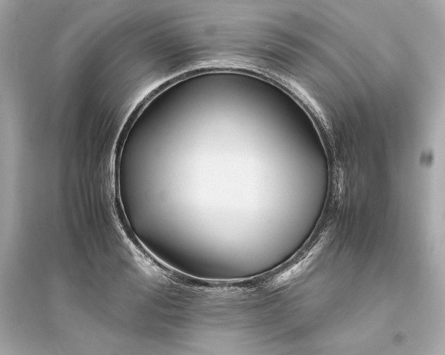 X0000094820988200711301626