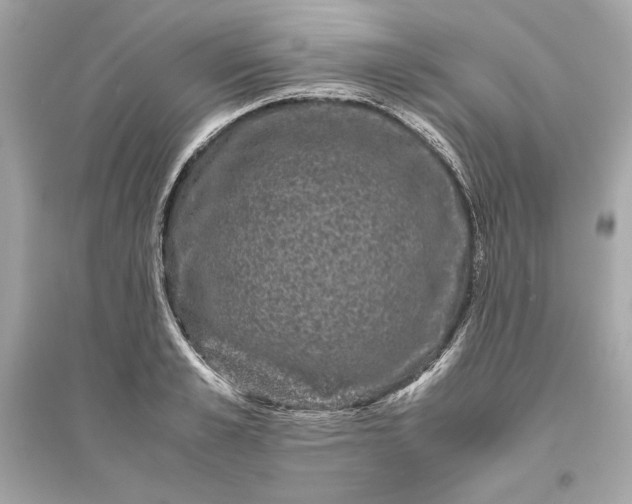 X0000094820989200711301626