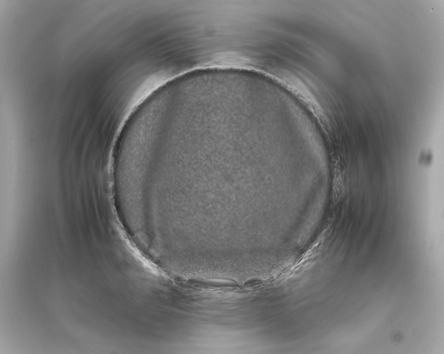 X0000094820990200711301626