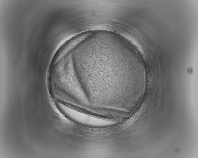 X0000094820991200711301626