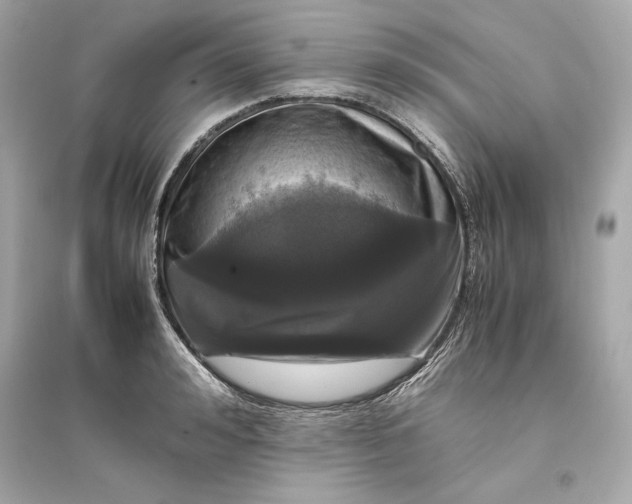 X0000094820992200711301626