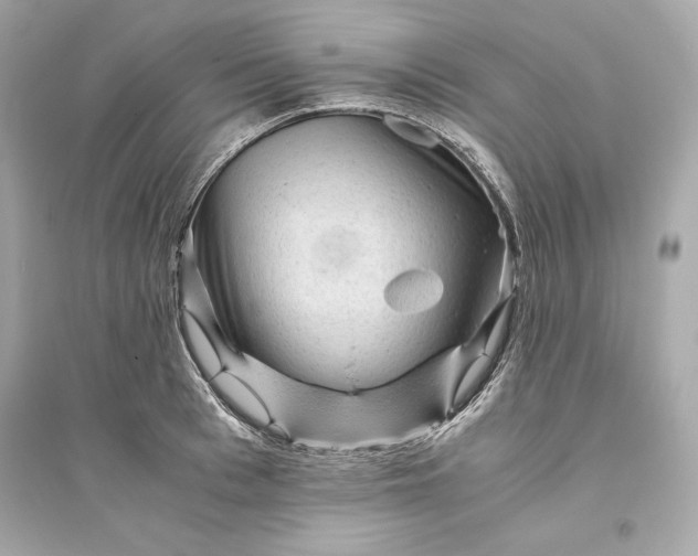 X0000094820993200711301626