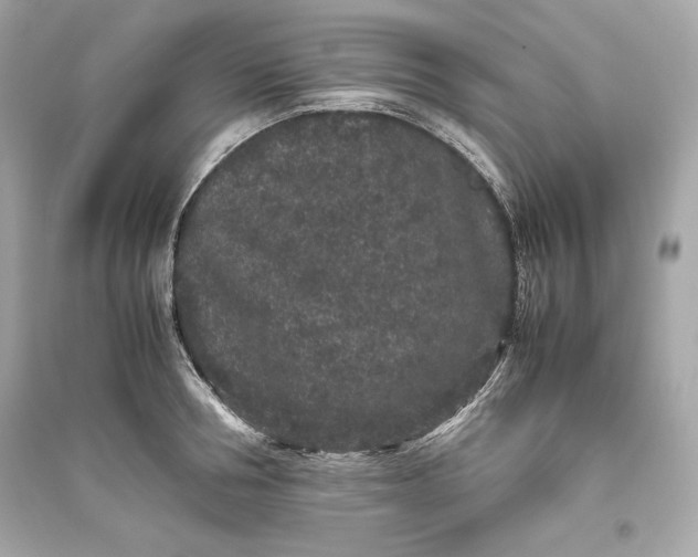 X0000094820994200711301626