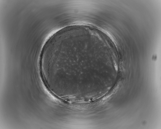 X0000094820995200711301626