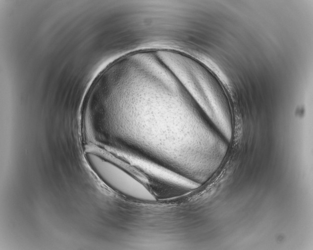 X0000094820996200711301626