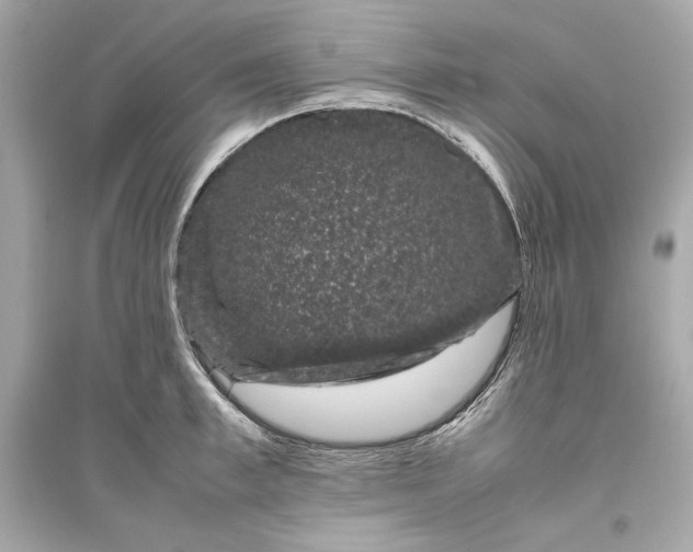 X0000094820997200711301626