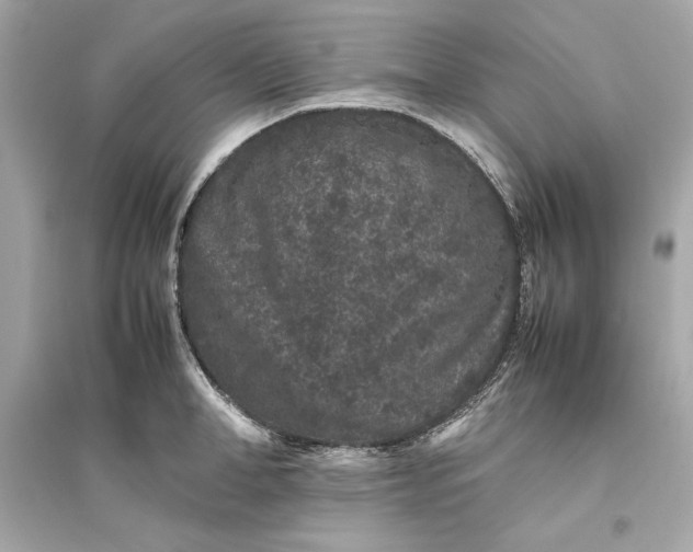 X0000094820998200711301626