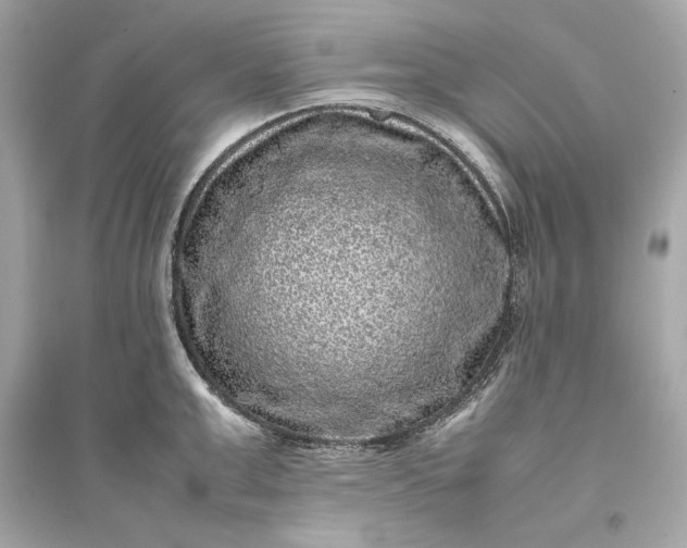 X0000094820999200711301626