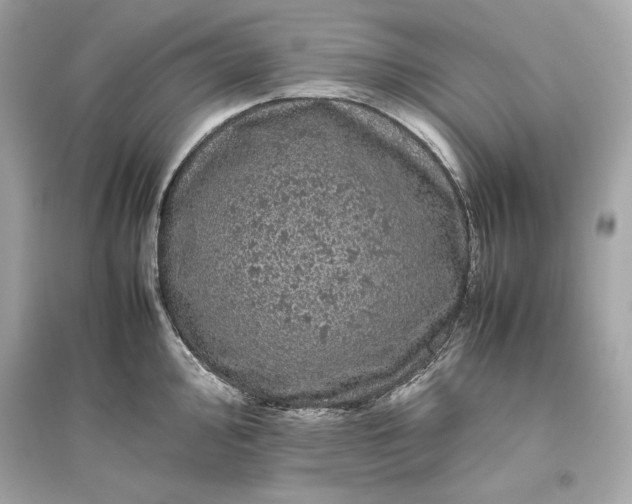 X0000094821000200711301626