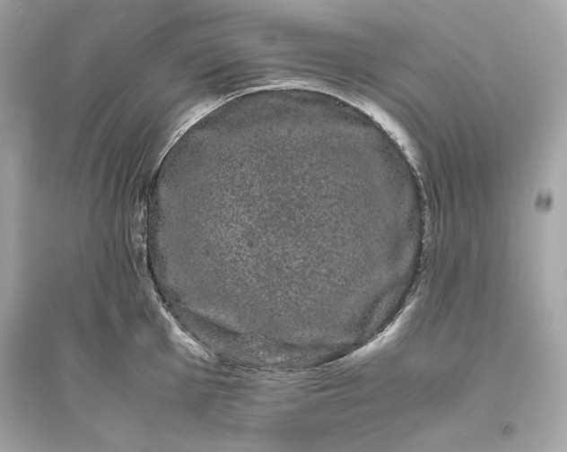 X0000094821001200711301626