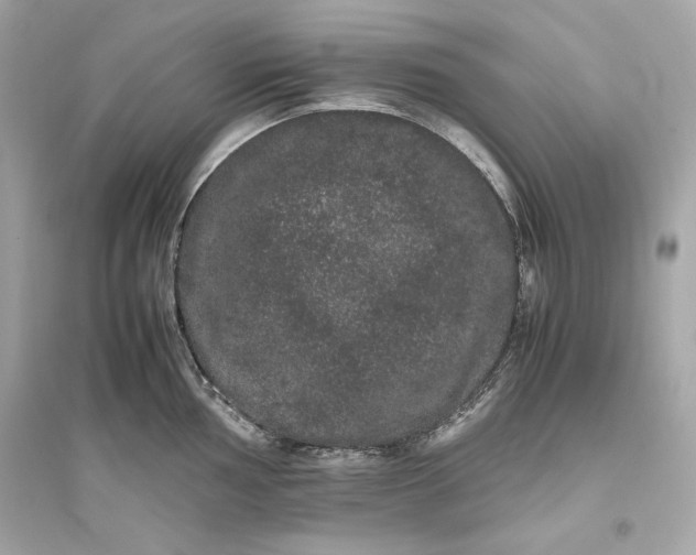 X0000094821002200711301626