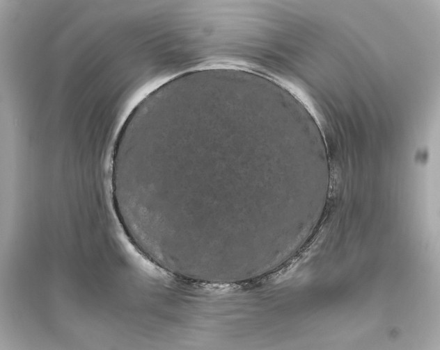 X0000094821003200711301626