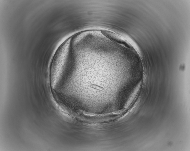 X0000094821004200711301625