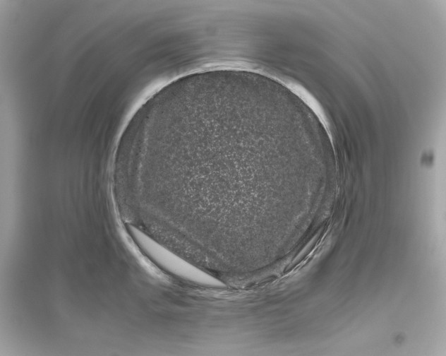 X0000094821005200711301625