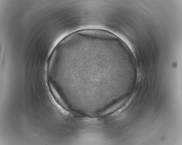 X0000094821006200711301625