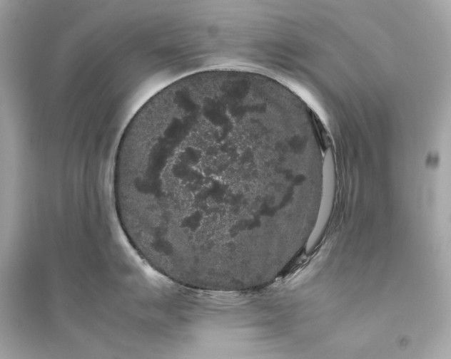 X0000094821007200711301625