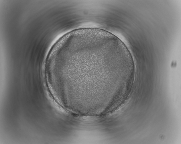 X0000094821008200711301625