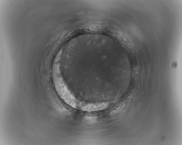 X0000094821009200711301625