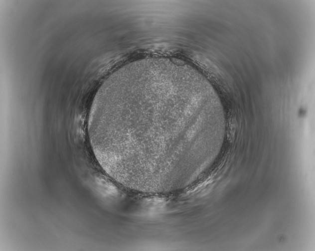 X0000094821010200711301625