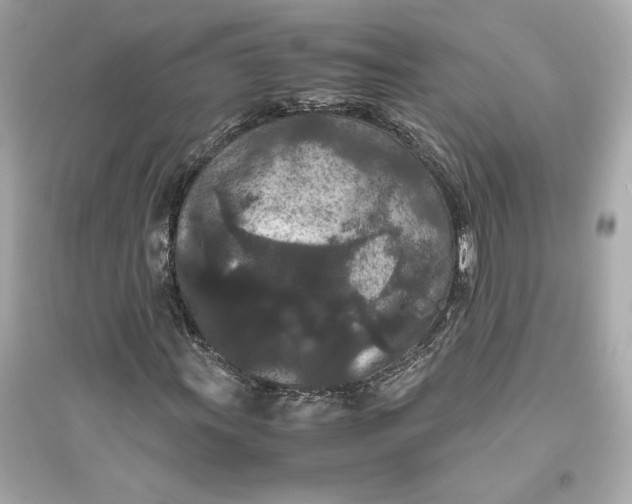 X0000094821011200711301625