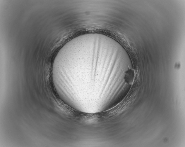 X0000094821012200711301625