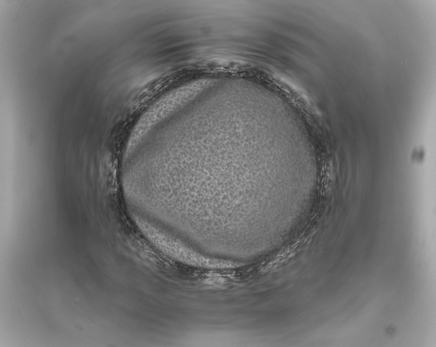 X0000094821013200711301625