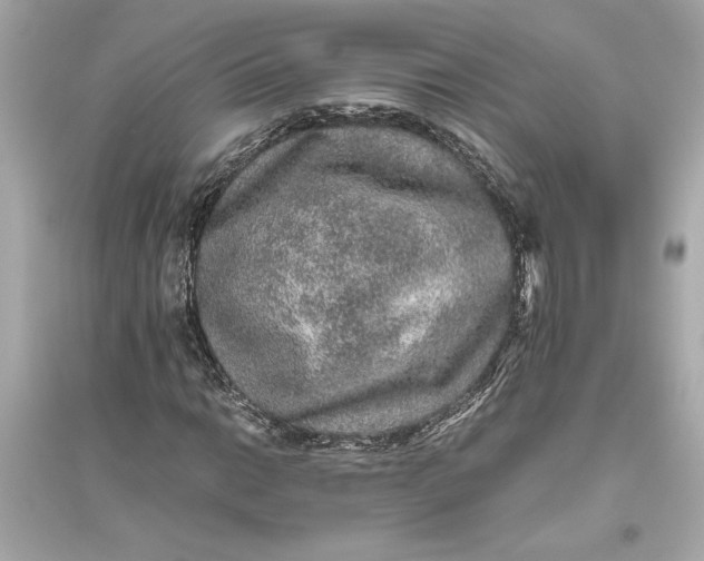 X0000094821014200711301625