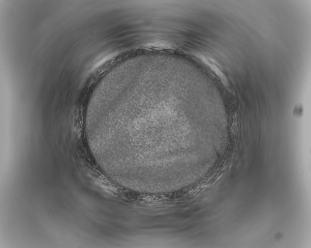 X0000094821015200711301625