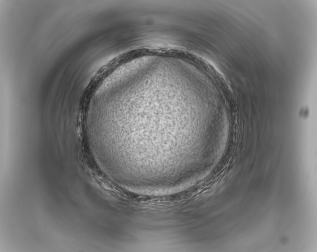 X0000094821016200711301625