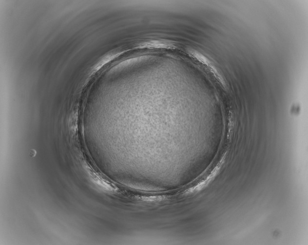 X0000094821017200711301625