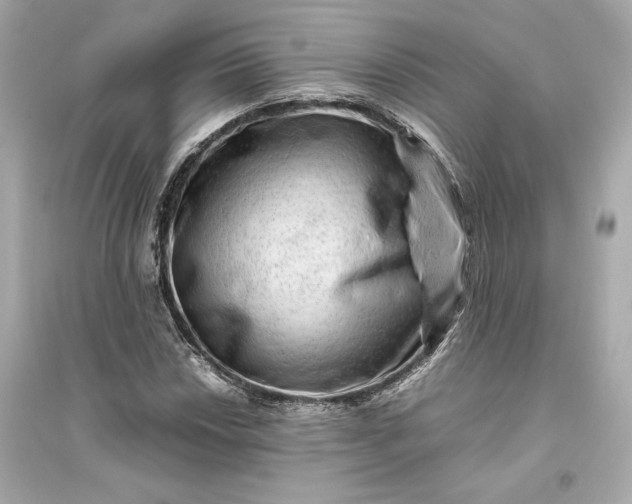 X0000094821018200711301625