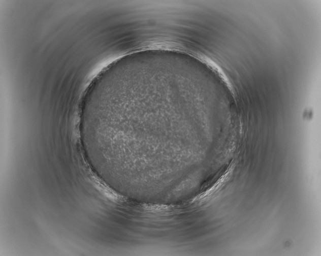 X0000094821019200711301625