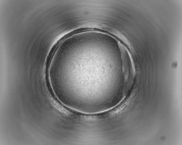 X0000094821020200711301625