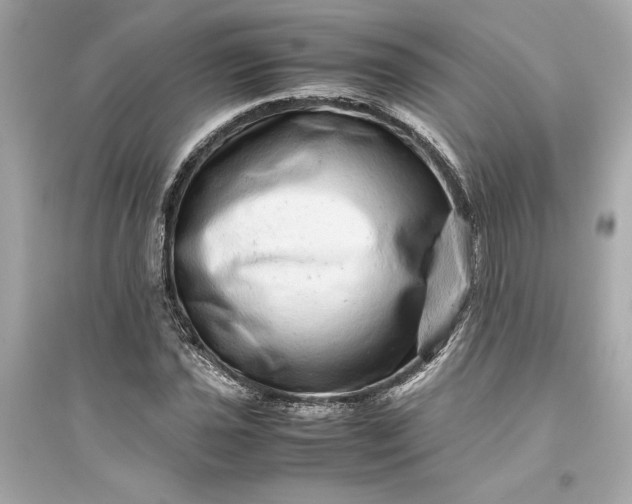 X0000094821021200711301625