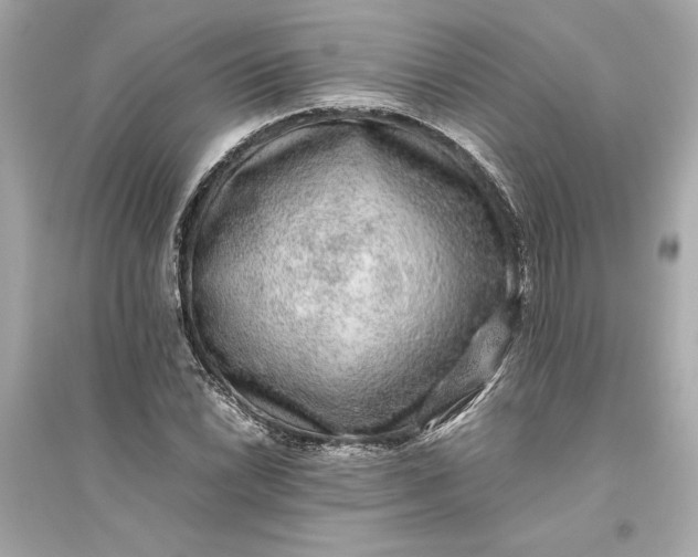 X0000094821022200711301625