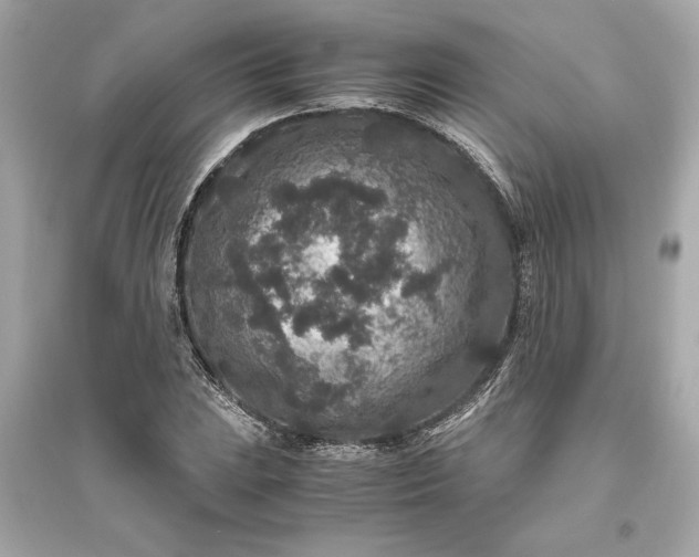 X0000094821023200711301625