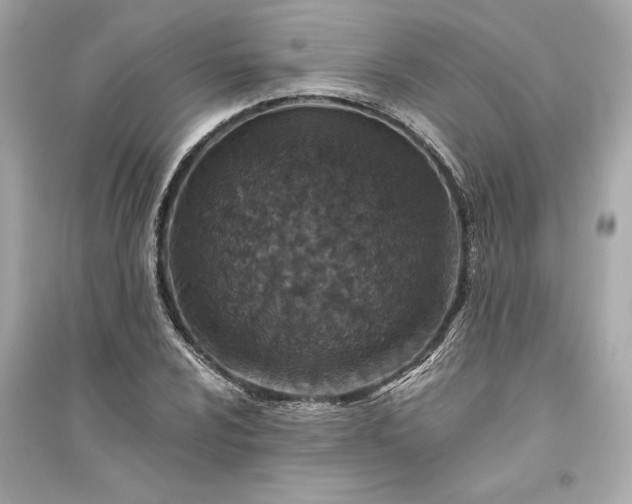 X0000094821024200711301625