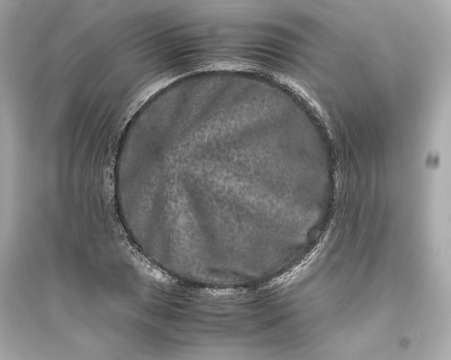 X0000094821025200711301625