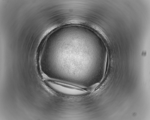 X0000094821026200711301625