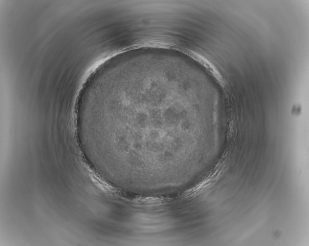 X0000094821027200711301625