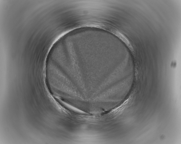 X0000094821028200711301625