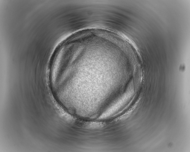 X0000094821029200711301625