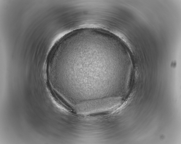 X0000094821030200711301625