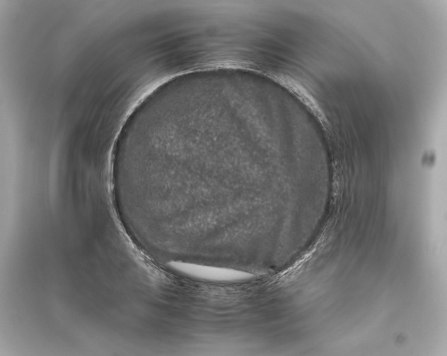 X0000094821031200711301625