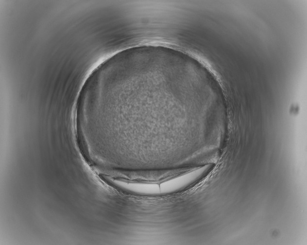 X0000094821032200711301625