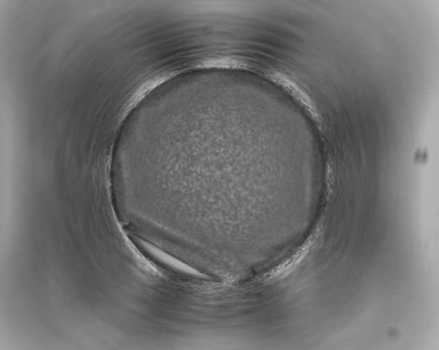 X0000094821033200711301625