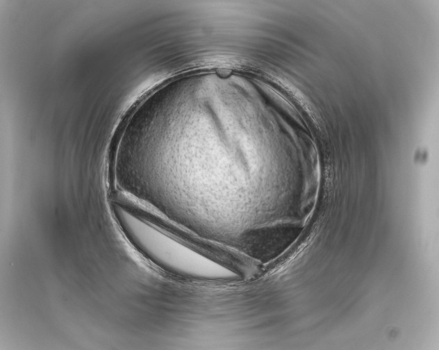 X0000094821034200711301625