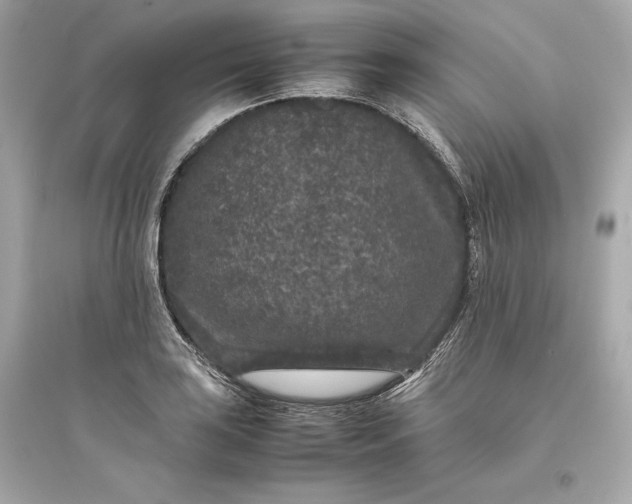 X0000094821035200711301625