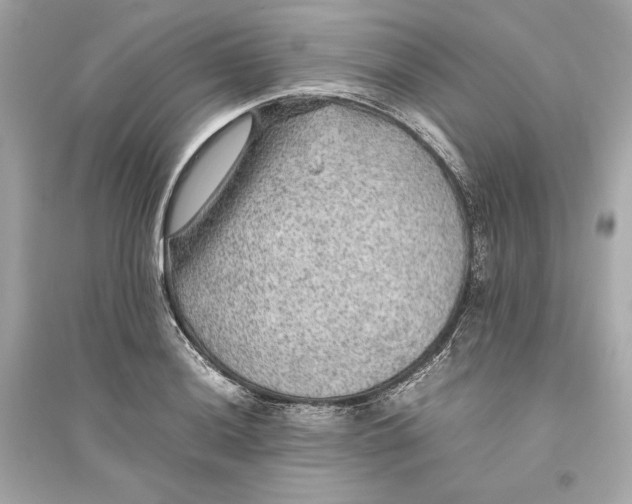 X0000094821036200711301625